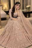 Premium Soft Butterfly Net Lehenga Choli Embellished With Beautiful&nbsp; Sequins Work