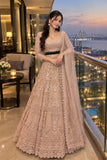 Premium Soft Butterfly Net Lehenga Choli Embellished With Beautiful&nbsp; Sequins Work
