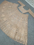 Premium Soft Butterfly Net Lehenga Choli Embellished With Beautiful&nbsp; Sequins Work
